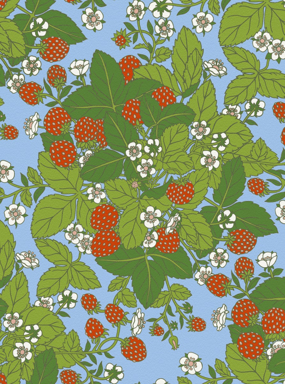 Strawberry Fields