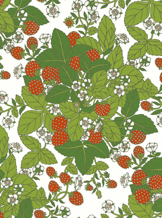 Strawberry Fields, White