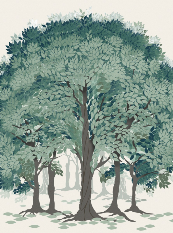 Beech Forest